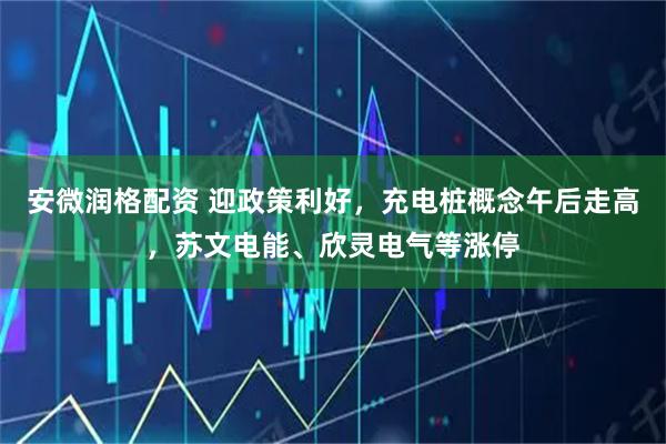安微润格配资 迎政策利好，充电桩概念午后走高，苏文电能、欣灵电气等涨停