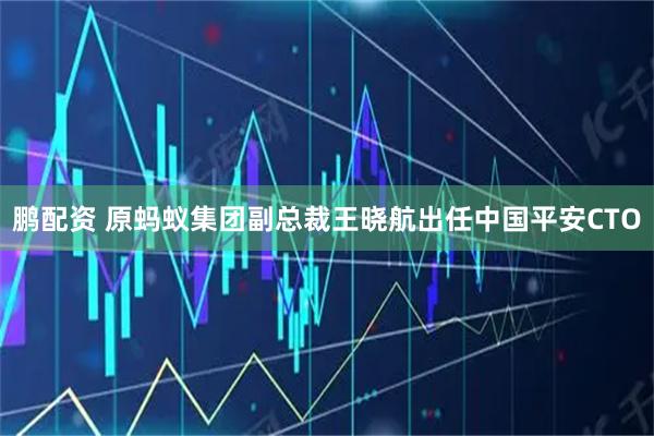 鹏配资 原蚂蚁集团副总裁王晓航出任中国平安CTO